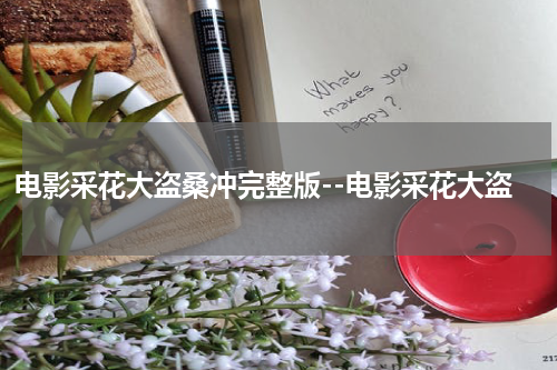 电影采花大盗桑冲完整版--电影采花大盗