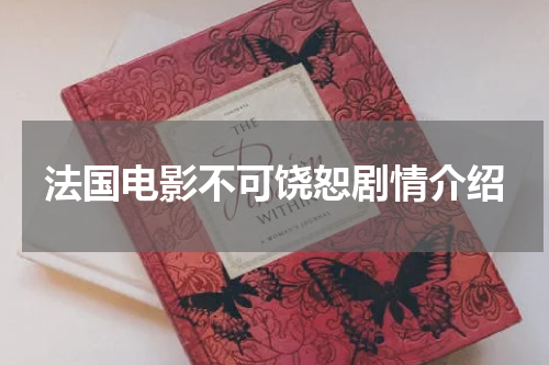 法国电影不可饶恕剧情介绍