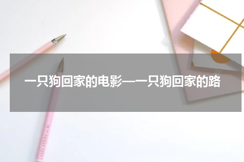 一只狗回家的电影—一只狗回家的路