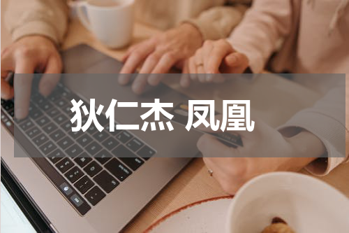 狄仁杰 凤凰