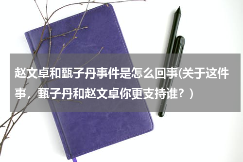 赵文卓和甄子丹事件是怎么回事(关于这件事，甄子丹和赵文卓你更支持谁？)