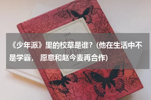《少年派》里的校草是谁？(他在生活中不是学霸， 愿意和赵今麦再合作)