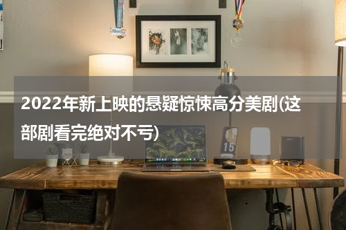 2022年新上映的悬疑惊悚高分美剧(这部剧看完绝对不亏)