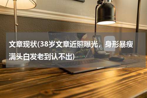 文章现状(38岁文章近照曝光，身形暴瘦满头白发老到认不出)