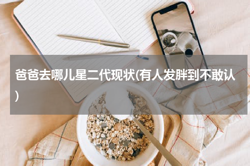 爸爸去哪儿星二代现状(有人发胖到不敢认)