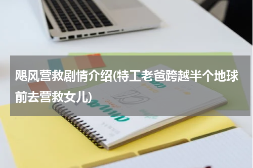 飓风营救剧情介绍(特工老爸跨越半个地球前去营救女儿)