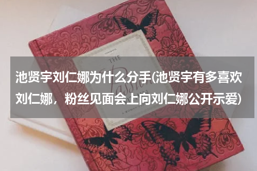 池贤宇刘仁娜为什么分手(池贤宇有多喜欢刘仁娜，粉丝见面会上向刘仁娜公开示爱)