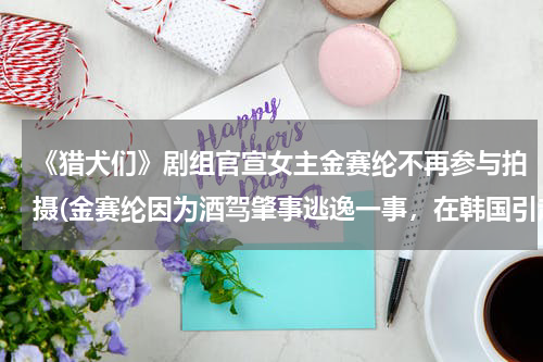 《猎犬们》剧组官宣女主金赛纶不再参与拍摄(金赛纶因为酒驾肇事逃逸一事，在韩国引起轰动)