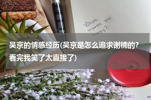 吴京的情感经历(吴京是怎么追求谢楠的？看完我笑了太直接了)