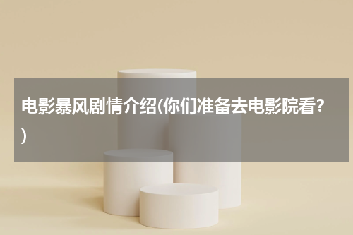 电影暴风剧情介绍(你们准备去电影院看？)