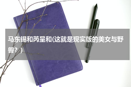 马东锡和芮呈和(这就是现实版的美女与野兽？)