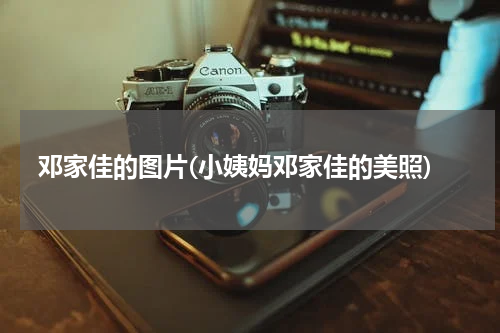 邓家佳的图片(小姨妈邓家佳的美照)