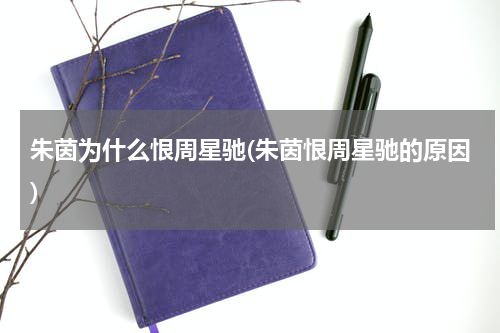 朱茵为什么恨周星驰(朱茵恨周星驰的原因)