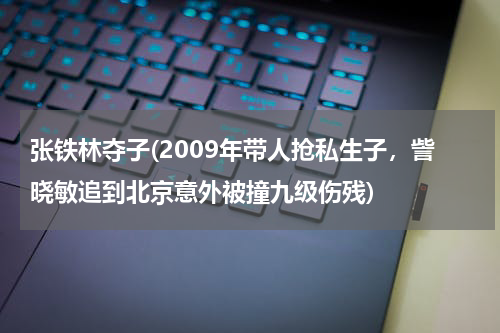 张铁林夺子(2009年带人抢私生子，訾晓敏追到北京意外被撞九级伤残)