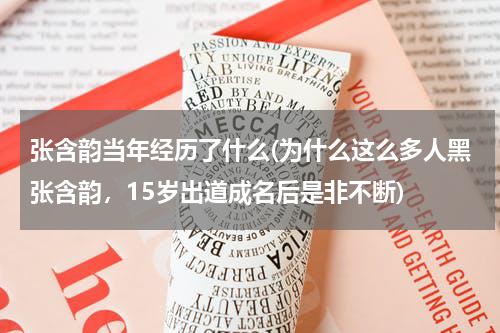 张含韵当年经历了什么(为什么这么多人黑张含韵，15岁出道成名后是非不断)