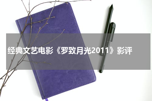 经典文艺电影《罗致月光2011》影评