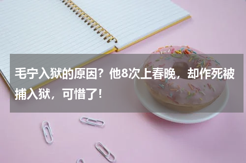 毛宁入狱的原因？他8次上春晚，却作死被捕入狱，可惜了！