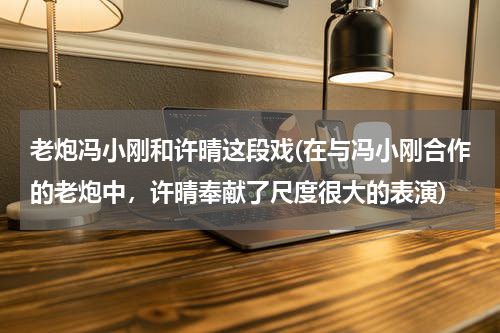 老炮冯小刚和许晴这段戏(在与冯小刚合作的老炮中，许晴奉献了尺度很大的表演)