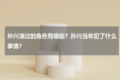 孙兴演过的角色有哪些？孙兴当年犯了什么事情？