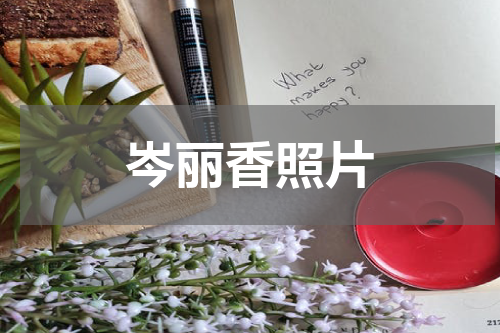 岑丽香照片