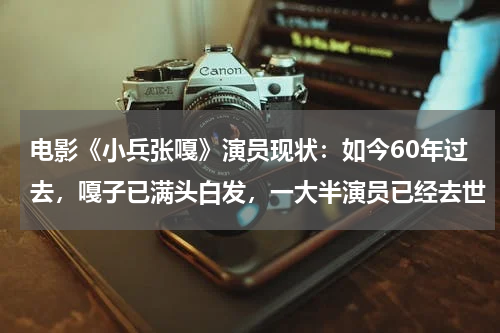 电影《小兵张嘎》演员现状：如今60年过去，嘎子已满头白发，一大半演员已经去世