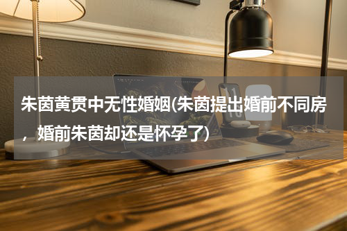 朱茵黄贯中无性婚姻(朱茵提出婚前不同房，婚前朱茵却还是怀孕了)