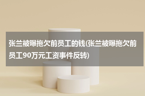 张兰被曝拖欠前员工的钱(张兰被曝拖欠前员工90万元工资事件反转)