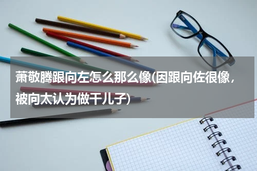萧敬腾跟向左怎么那么像(因跟向佐很像，被向太认为做干儿子)
