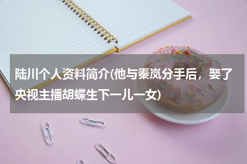 陆川个人资料简介(他与秦岚分手后，娶了央视主播胡蝶生下一儿一女)