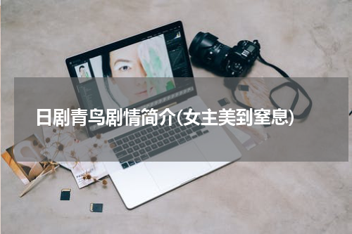 日剧青鸟剧情简介(女主美到窒息)