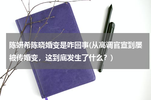 陈妍希陈晓婚变是咋回事(从高调官宣到屡被传婚变，这到底发生了什么？)