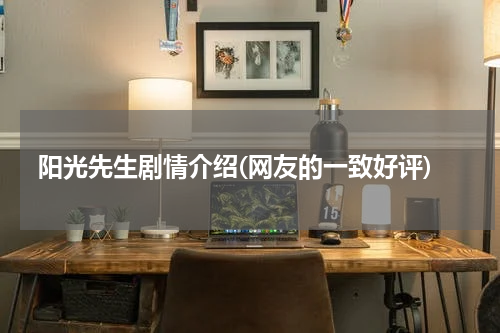阳光先生剧情介绍(网友的一致好评)