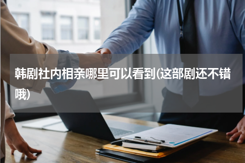韩剧社内相亲哪里可以看到(这部剧还不错哦)