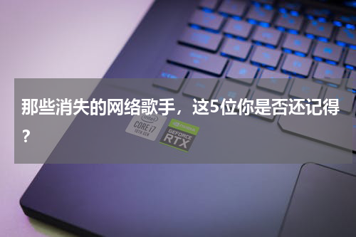 那些消失的网络歌手，这5位你是否还记得？