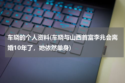 车晓的个人资料(车晓与山西首富李兆会离婚10年了，她依然单身)