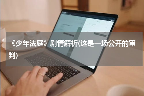 《少年法庭》剧情解析(这是一场公开的审判)