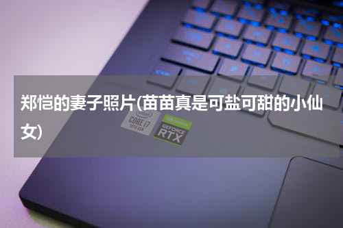 郑恺的妻子照片(苗苗真是可盐可甜的小仙女)