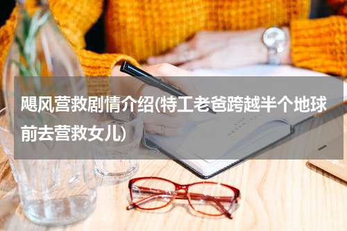 飓风营救剧情介绍(特工老爸跨越半个地球前去营救女儿)