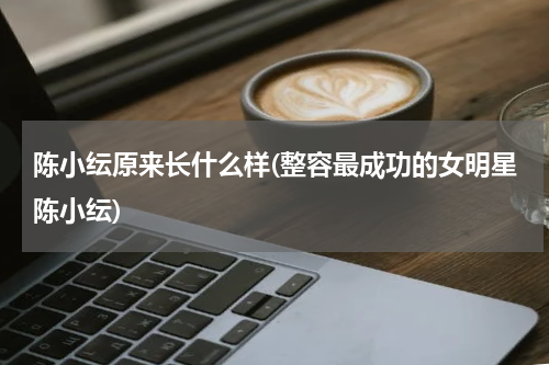 陈小纭原来长什么样(整容最成功的女明星陈小纭)