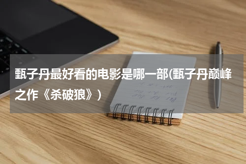 甄子丹最好看的电影是哪一部(甄子丹巅峰之作《杀破狼》)