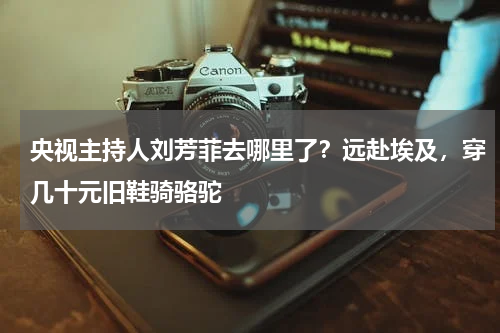 央视主持人刘芳菲去哪里了？远赴埃及，穿几十元旧鞋骑骆驼