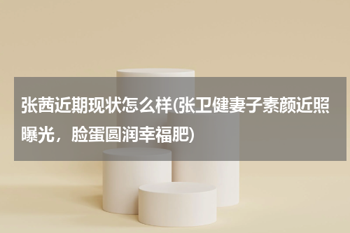 张茜近期现状怎么样(张卫健妻子素颜近照曝光，脸蛋圆润幸福肥)