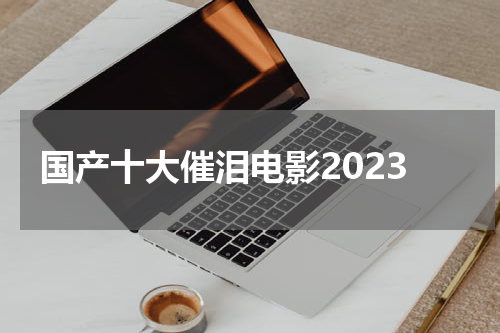 国产十大催泪电影2023