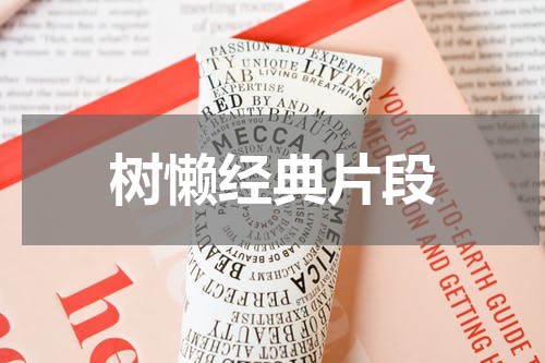 树懒经典片段
