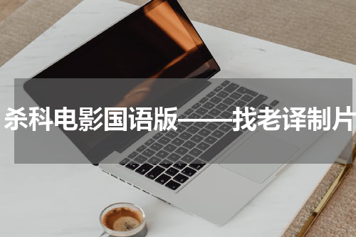 杀科电影国语版——找老译制片