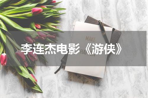 李连杰电影《游侠》